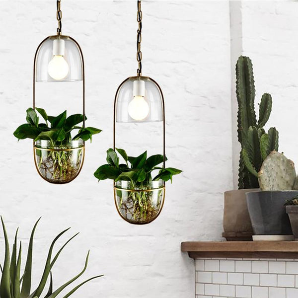 hanging plant lights Lileas