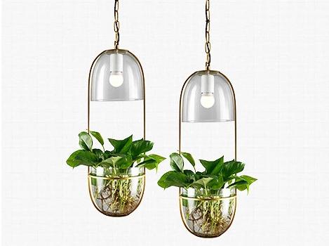hanging planter light fixture Lileas