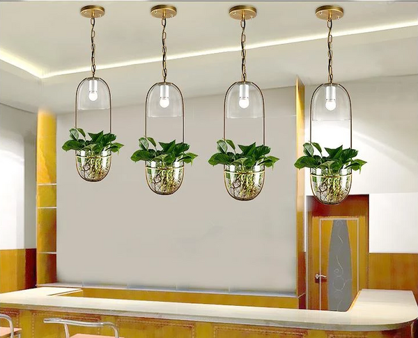 plant hanging light Lileas