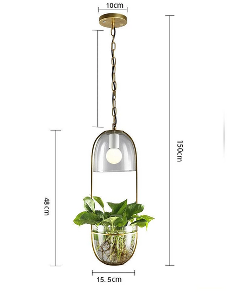 hanging lamp with plants Lileas
