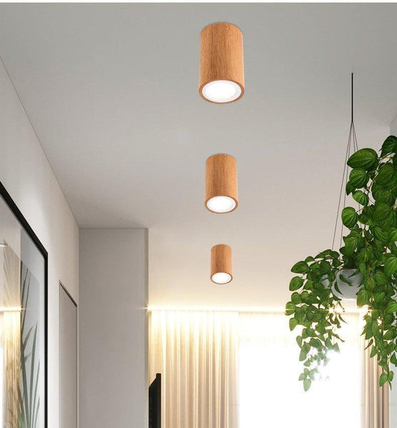 Dru - Modern Nordic LED Ceiling Lights
